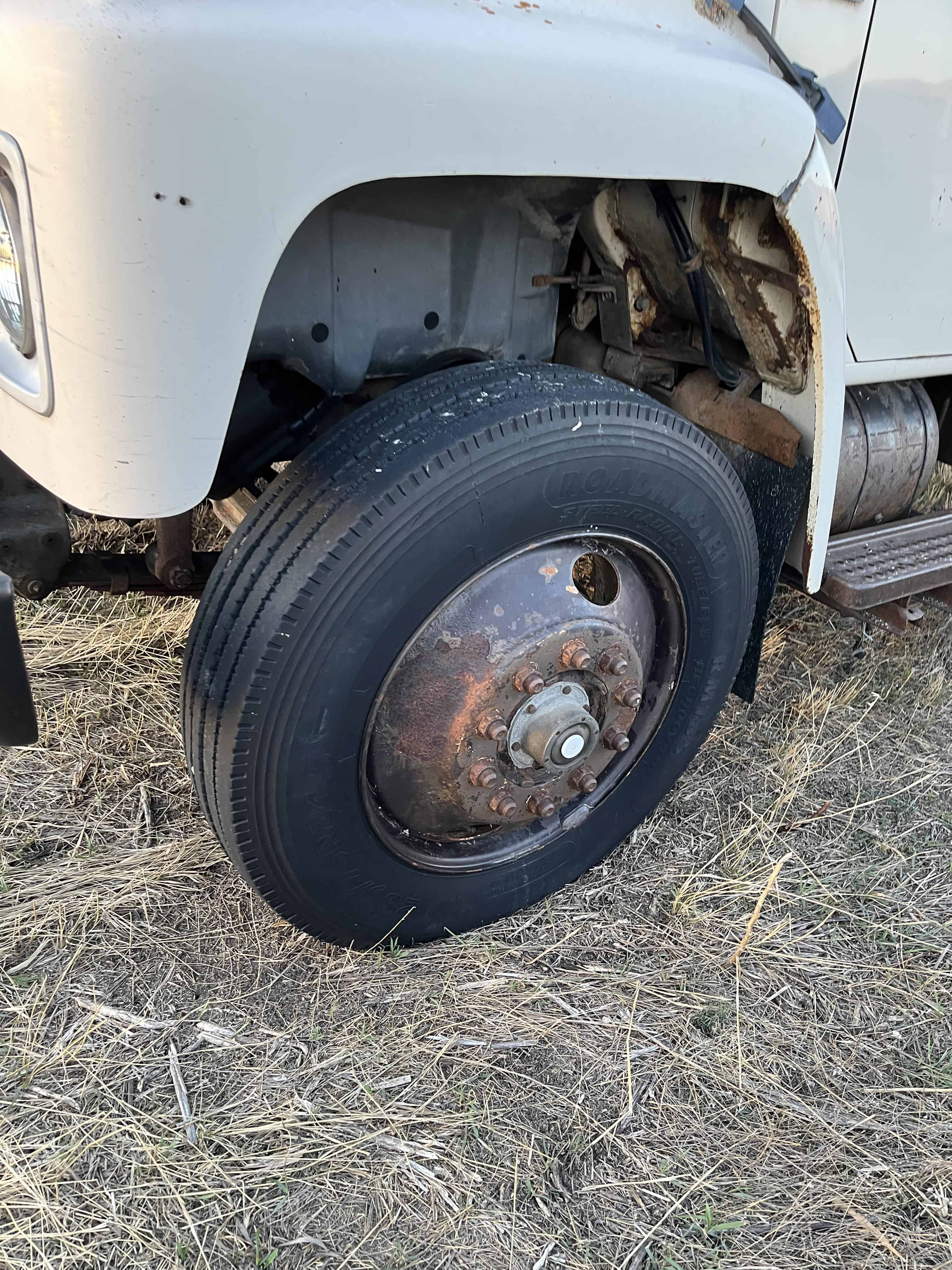 1989 International S1900